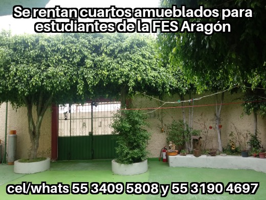 FES Aragon;Primer Ingreso FES Aragon; Nuevo Ingreso FES Aragon; Estudiantes TESE; Estudiantes UNEVE; Estudiantes UPN 153; Odontologia UNAM Clinica Aragon; Odontologia Iztacala Clinica Aragon; Odontologia FES Aragon; Estudiantes FES Aragon; Cuartos para Estudiantes; habitaciones estudiantes; recamaras estudiantes; departamentos para estudiantes; alojamiento estudiantes; hospedaje estudiantes;   Cuarto para dama; cuarto dama; habitacion dama; departamento dama; recamara para dama; cuarto para mujer; habitacion para mujer; recamara para mujer; departamento para mujer; IPN; UPIICSA;  IPN Zacatenco; IPN Ticoman; ITGAM; Odontologia UNAM Aragon; Odontologia Iztacala Aragon; Iztacala FES Aragon; TESE; UNEVE; UPN 153; UPN 096; FES Aragon; Odontologia FES Aragon;