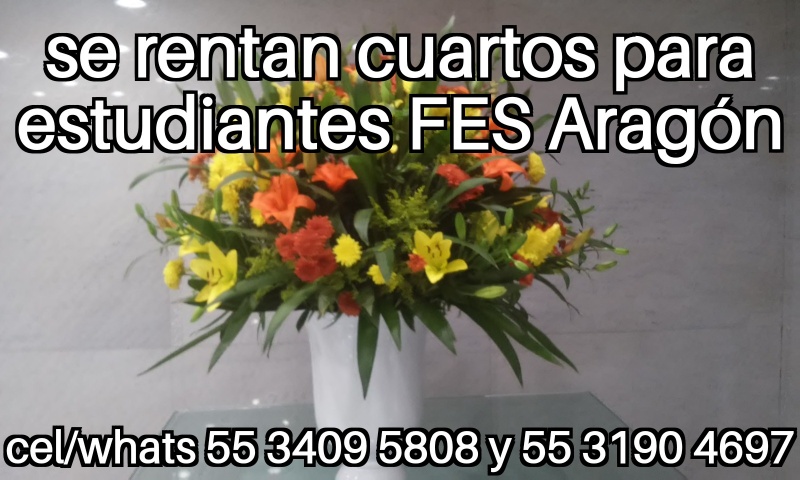 Cuartos estudiantes fes aragon nuevo ingreso fes aragon departamentos fes aragon habitaciones fes aragon recamaras fes aragon
