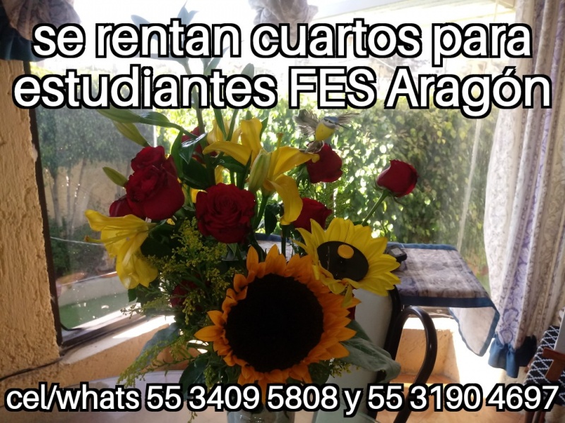Cuartos estudiantes fes aragon nuevo ingreso fes aragon departamentos fes aragon habitaciones fes aragon recamaras fes aragon