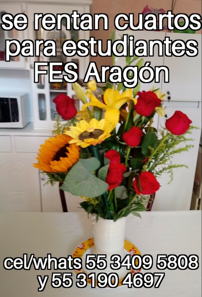 Fes aragon; nuevo ingreso cuartos estudiantes; estudiantes FES Aragon; Tec de Ecatepec; TESE; Universidad Ecatepec; UNEVE; UPIICSA; IPN Zacatenco; IPN Ticoman; fes aragon nuevo ingreso; departamento estudiantes; recamara estudiantes; habitacion estudiantes; dormitorio estudiantes;