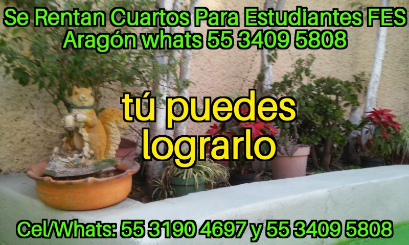 FES Aragon;Primer Ingreso FES Aragon; Nuevo Ingreso FES Aragon; Estudiantes TESE; Estudiantes UNEVE; Estudiantes UPN 153; Odontologia UNAM Clinica Aragon; Odontologia Iztacala Clinica Aragon; Odontologia FES Aragon; Estudiantes FES Aragon; Cuartos para Estudiantes; habitaciones estudiantes; recamaras estudiantes; departamentos para estudiantes; alojamiento estudiantes; hospedaje estudiantes;   Cuarto para dama; cuarto dama; habitacion dama; departamento dama; recamara para dama; cuarto para mujer; habitacion para mujer; recamara para mujer; departamento para mujer; IPN; UPIICSA;  IPN Zacatenco; IPN Ticoman; ITGAM; Odontologia UNAM Aragon; Odontologia Iztacala Aragon; Iztacala FES Aragon; TESE; UNEVE; UPN 153; UPN 096; FES Aragon; Odontologia FES Aragon;